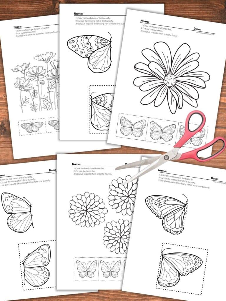 six cut and paste worksheets featuring black and white image of butterflies and flowers overlapping on a wooden background with pink scissors right middle