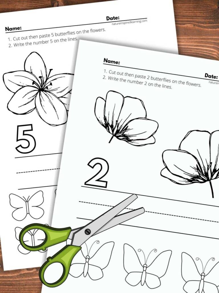 two printable count, write, cut and paste math worksheets with flowers and butterflies. Green safety scissors on worksheets. Wooden background