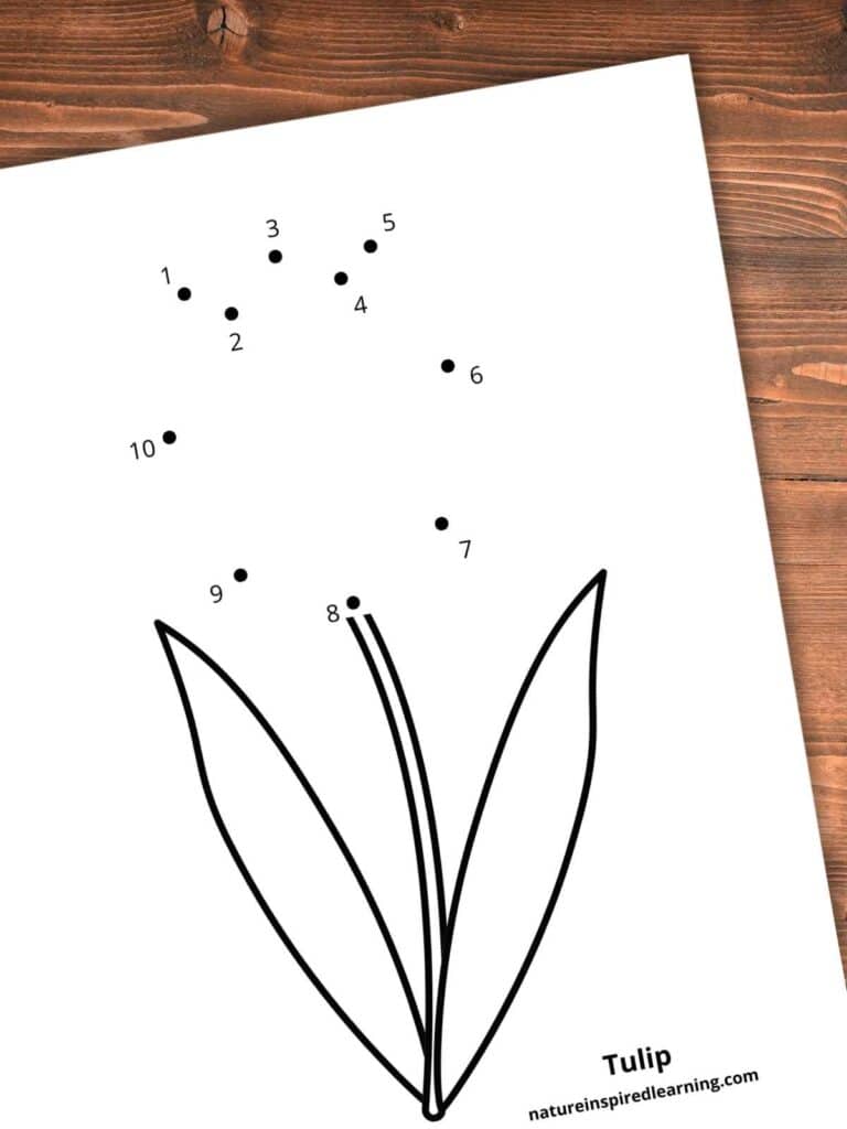 flower dot to dot with numbers 1-10. Printable on a wooden background