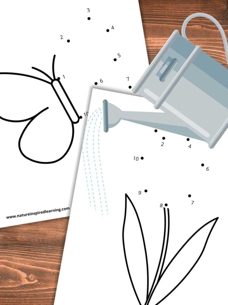 two connect the dots worksheets numbers 1-10 overlapping on a wooden background with a grey watering can on top of printables