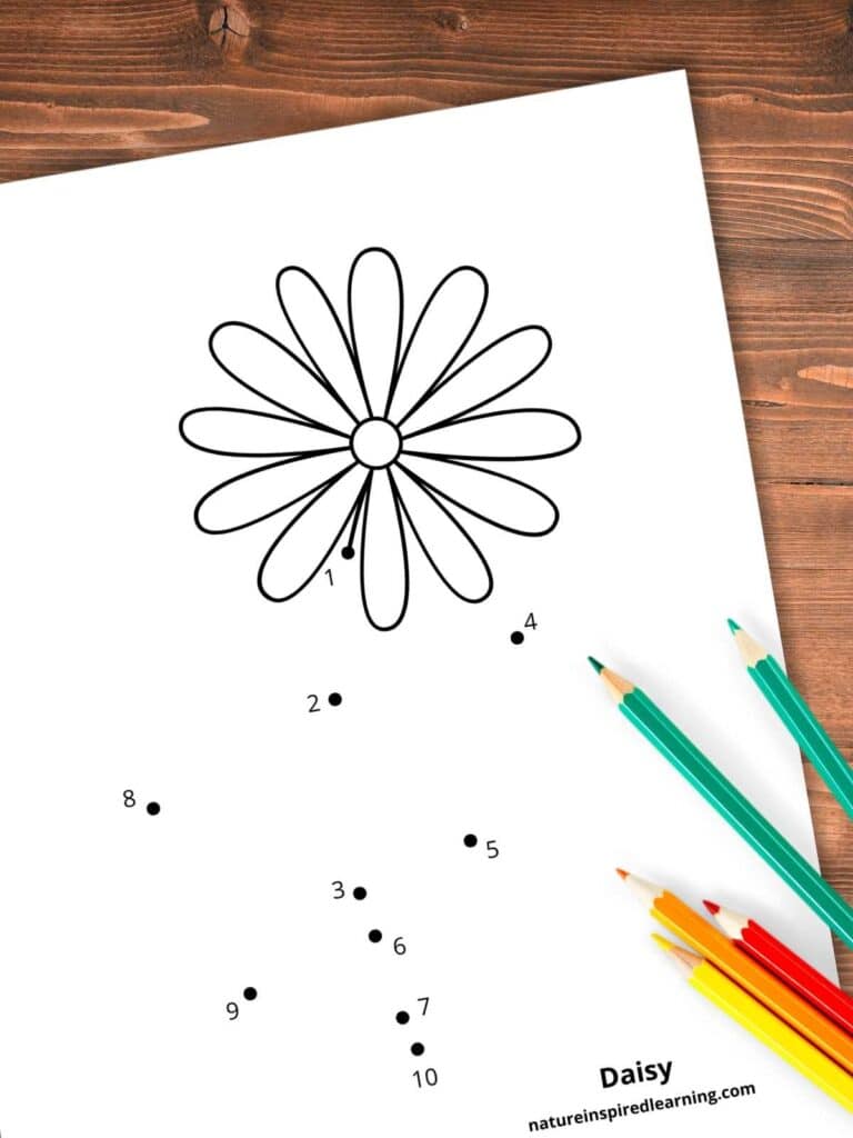 daisy themed dot to dot printable numbers 1-10 on a wooden background with colored pencils bottom right