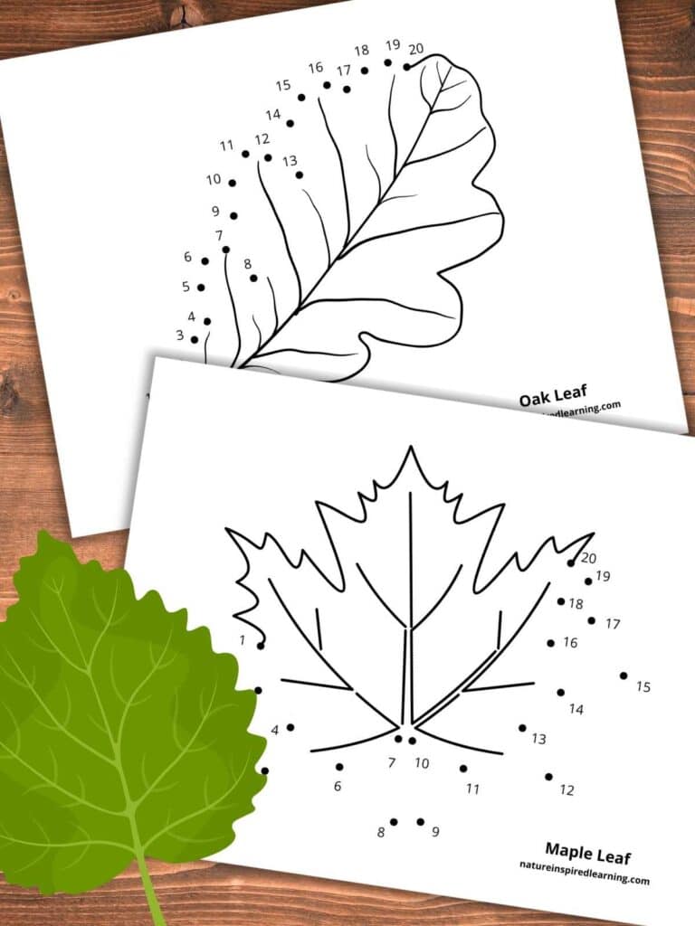 two connect the dots printable worksheets with leaf designs overlapping on a wooden background with a green leaf bottom left