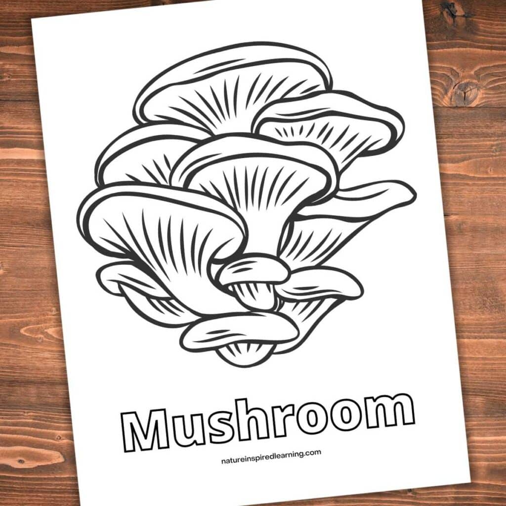 realistic mushroom coloring page on a wooden background