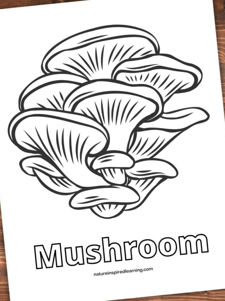 realistic mushroom coloring page on a wooden background