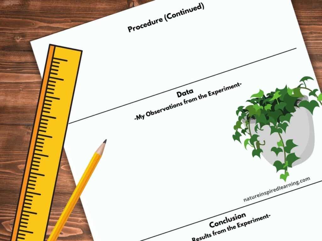 scientific method printable template with procedure, data, and results from experiment. Green potted plant on the data section with a ruler and pencil next the printable on the left hand side. All on a wooden background