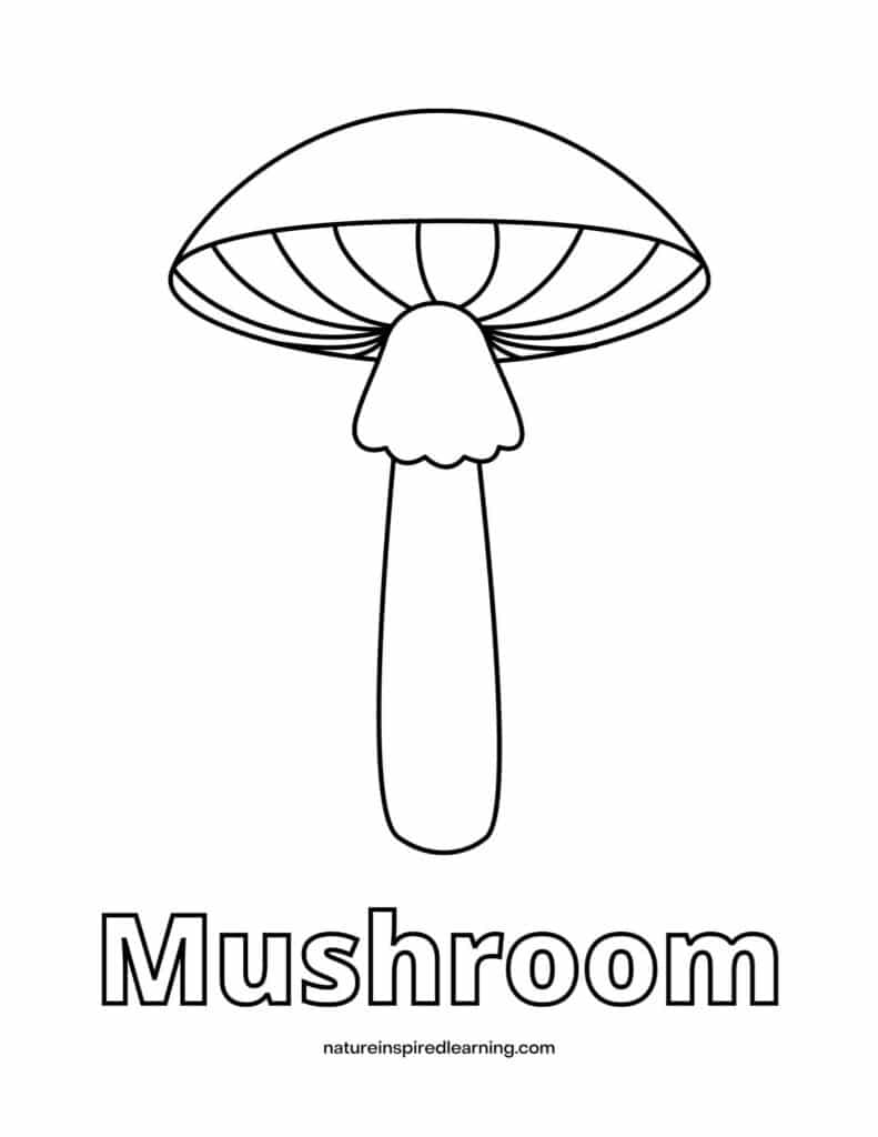 one large realistic mushroom black and white word mushroom written below image in outline form