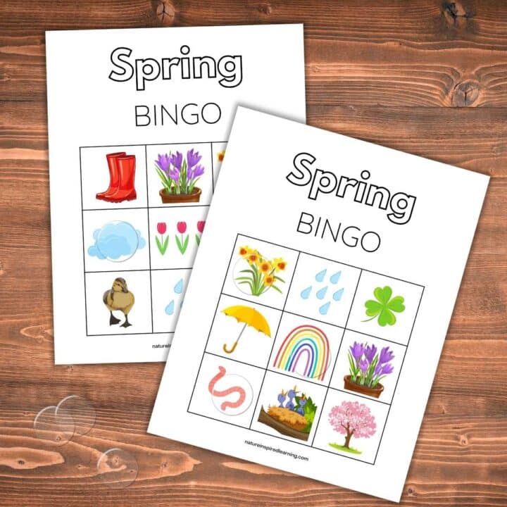 two free printable spring bingo cards overlapping on a wooden background with clear markers
