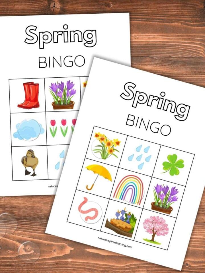 two free printable spring bingo cards overlapping on a wooden background with clear markers