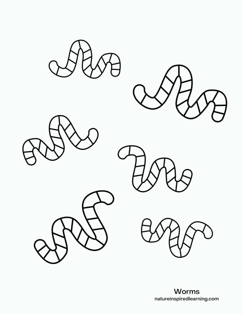 six wiggly worms with segmented bodies simple black and white design