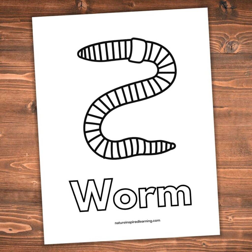 realistic worm black and white design with worm written below in outline form. Printable on a wooden background