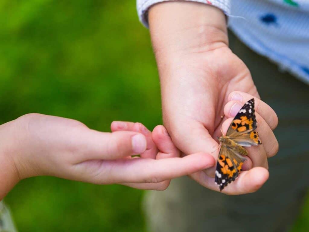 painted lady butterfly on a child's hand another child's hand next to the butterfly