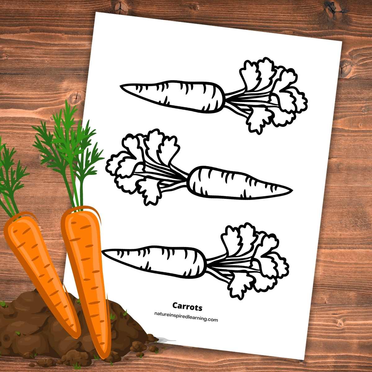 How to Draw a Carrot - FeltMagnet