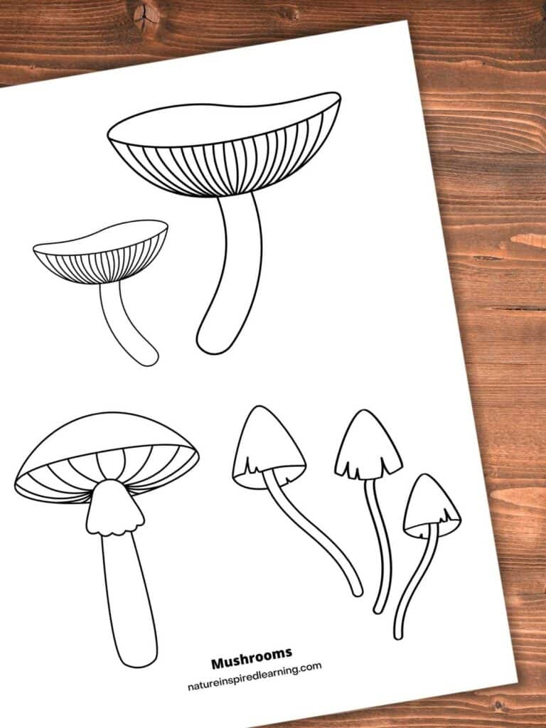 easy mushroom coloring page with six mushrooms on a wooden background