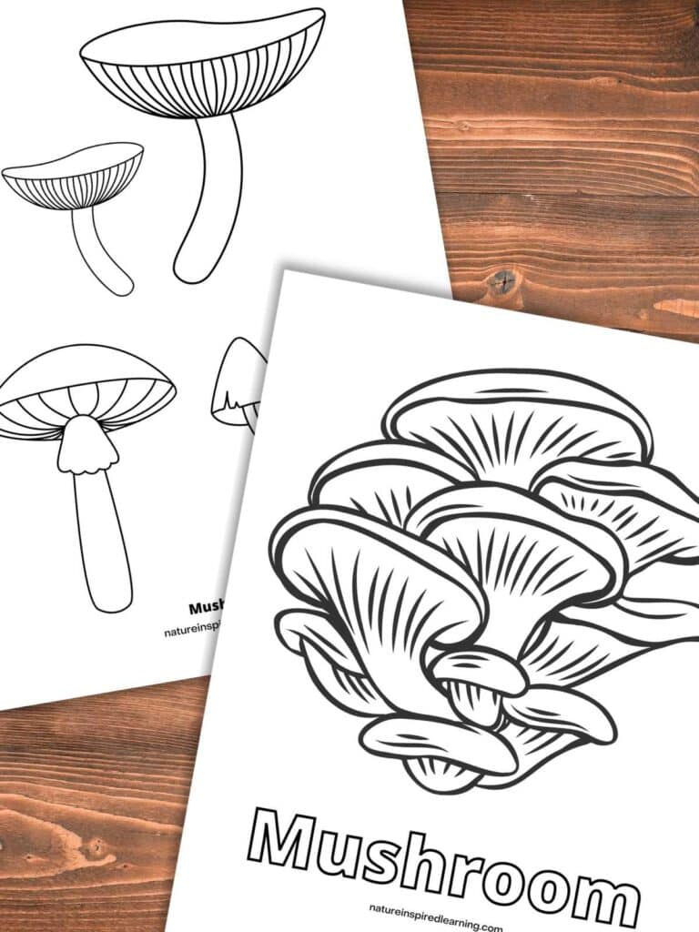 two realistic mushroom coloring pages with different designs