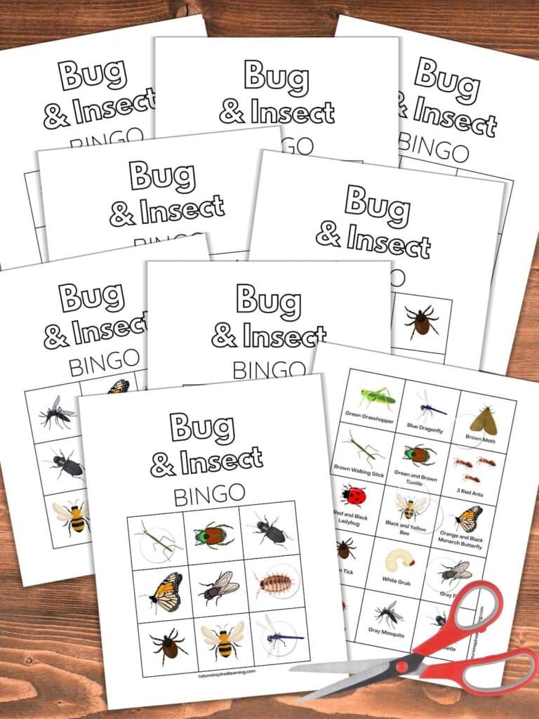 eight printable bingo cards overlapping with calling card printable all on a wooden background. Red scissors bottom right.