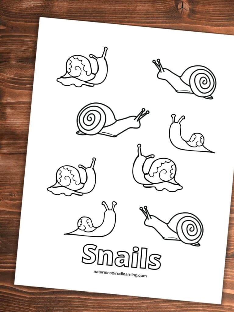 different snail designs on a coloring sheet. Printable on a wooden background