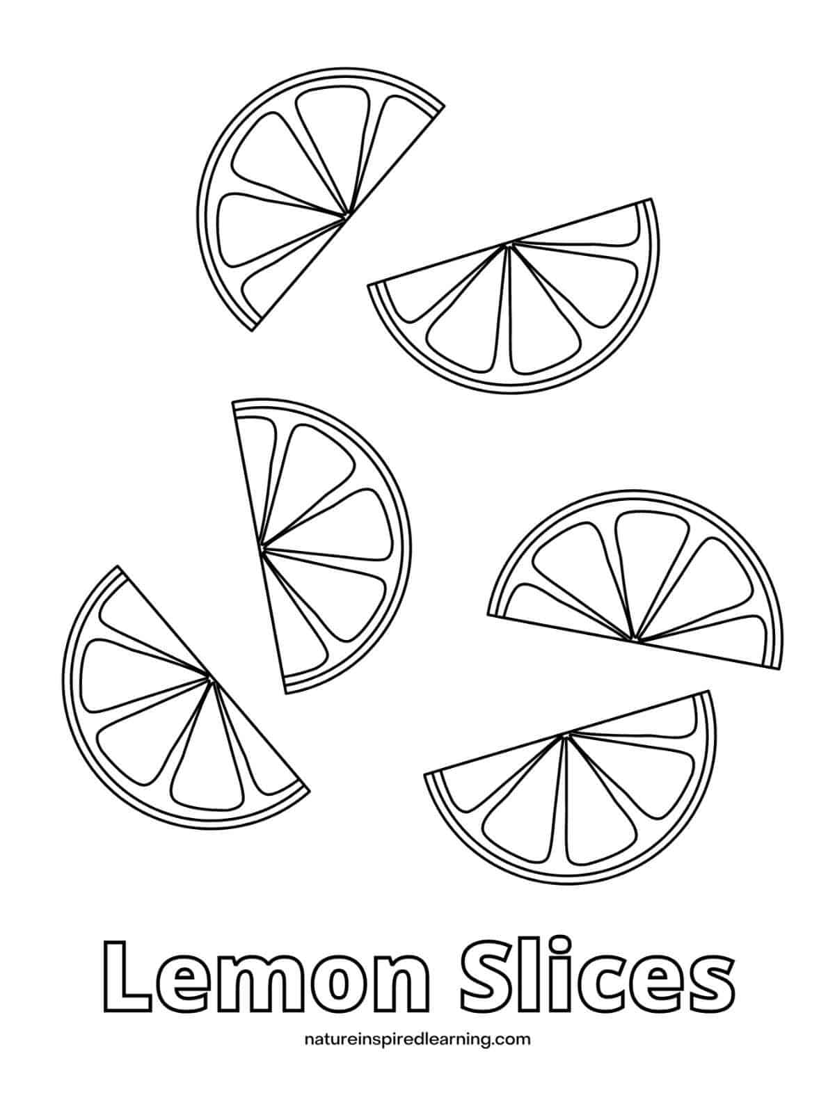 printable with 6 lemon slices arranged randomly and Lemon Slices written across bottom