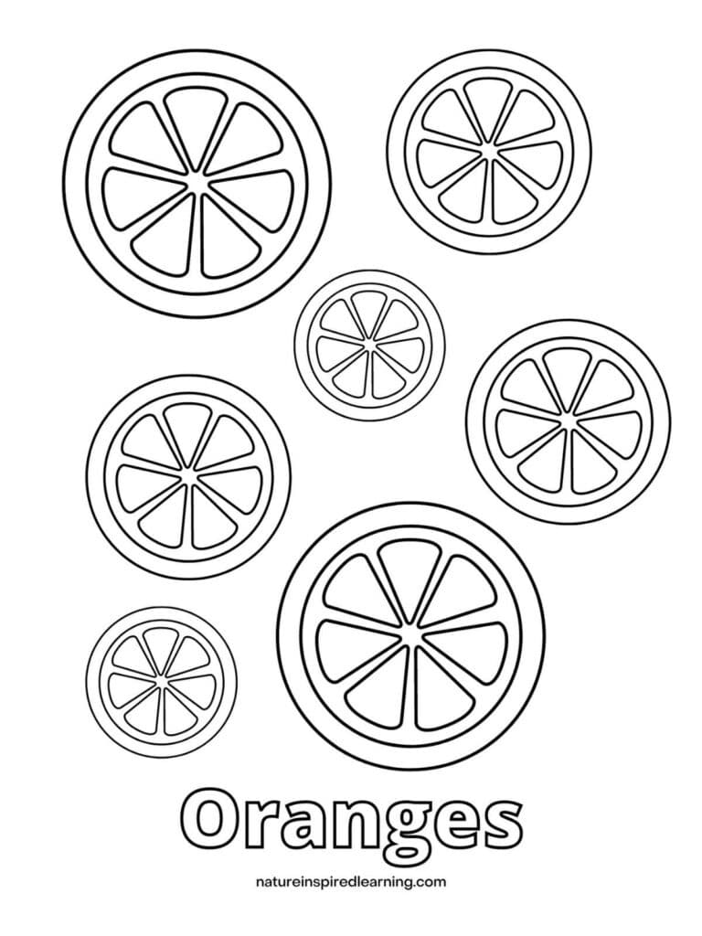 printable with circular orange slices and the word Oranges