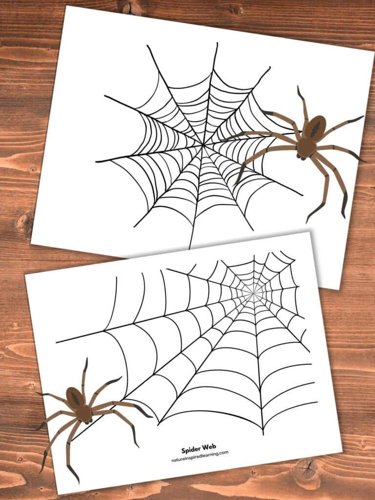 two spider web coloring pages overlapping on a wooden background. Brown spider upper right and lower left