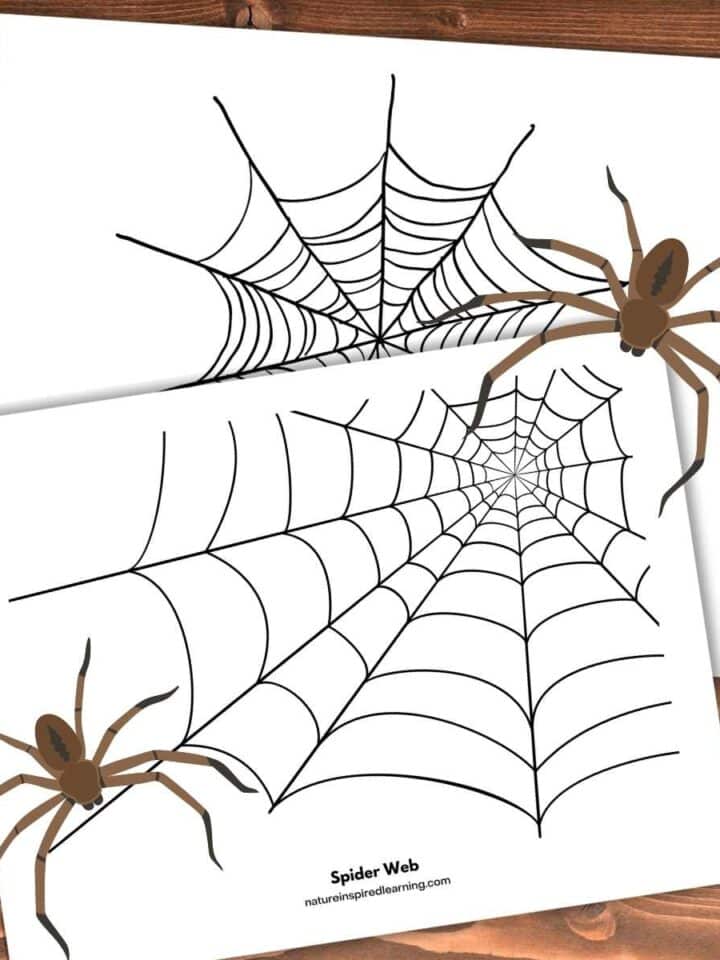 two spider web coloring pages overlapping on a wooden background. Brown spider upper right and lower left