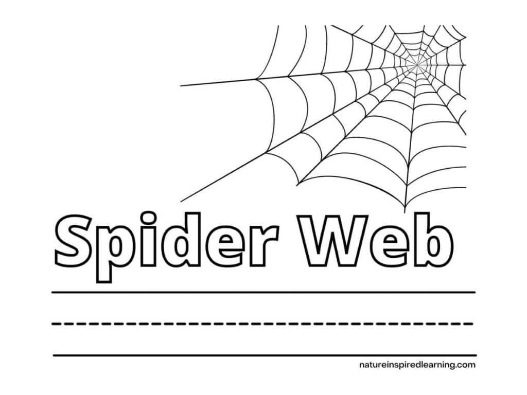 corner spider web upper right with outline of words Spider Web below with lines to write