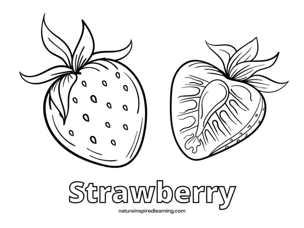 black and white image of a whole strawberry next to a cut strawberry word Strawberry below.