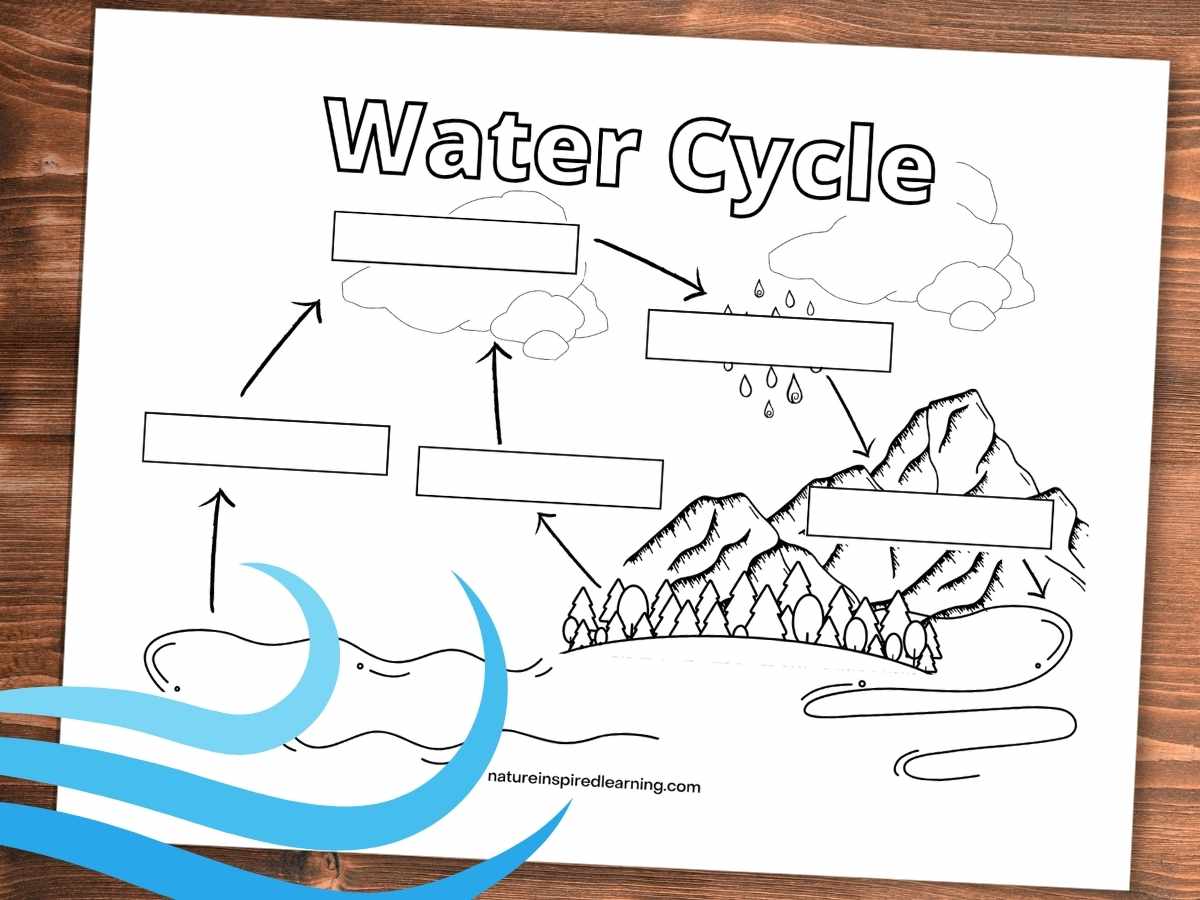 water cycle coloring page with blank boxes for each of the 5 steps within the diagram. Printable on wooden background blue waves bottom left