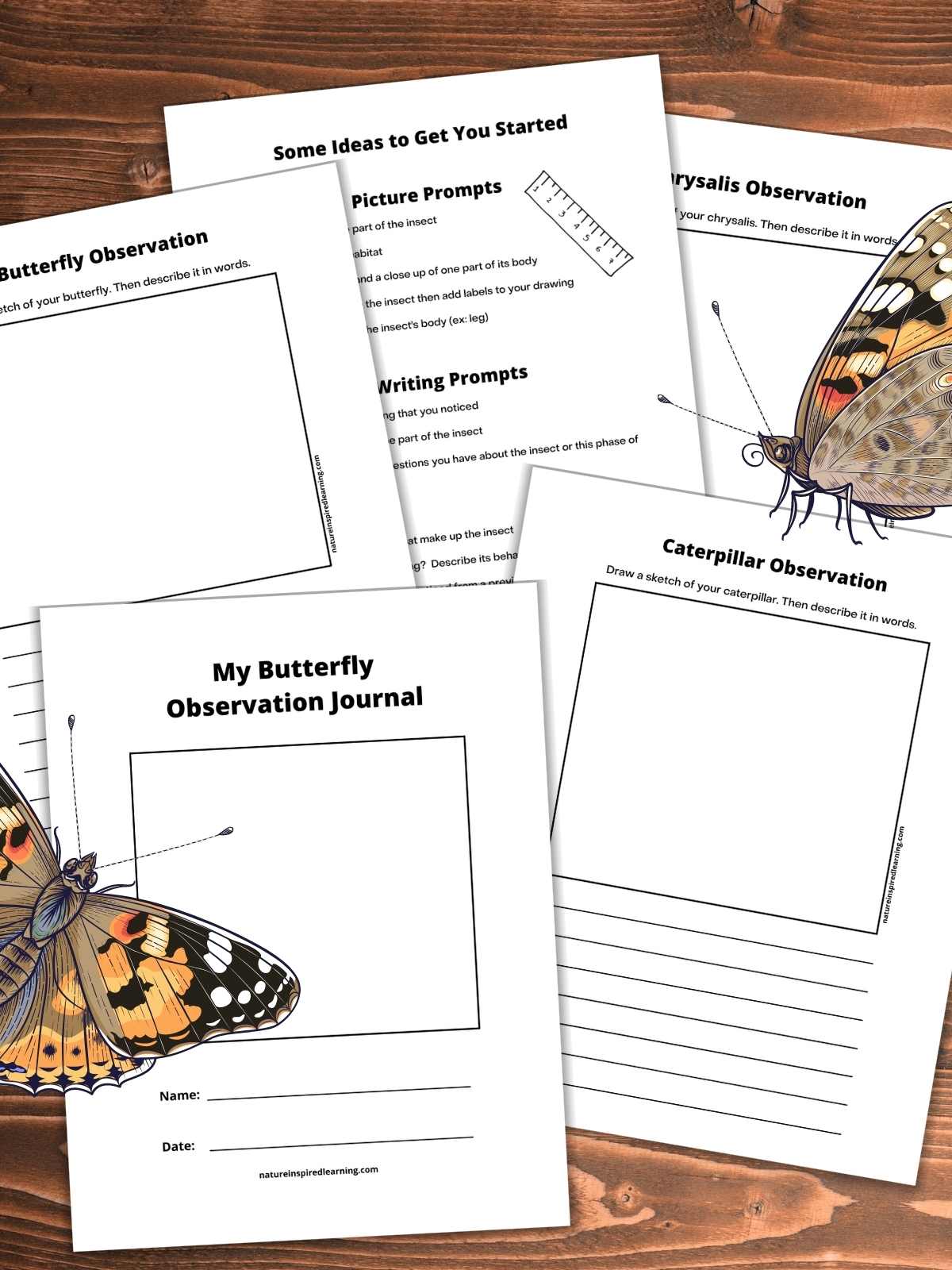 butterfly observation journal cover, caterpillar, chrysalis, and butterfly journal pages along with writing prompts overlapping on a wooden background. Butterflies bottom left and upper right