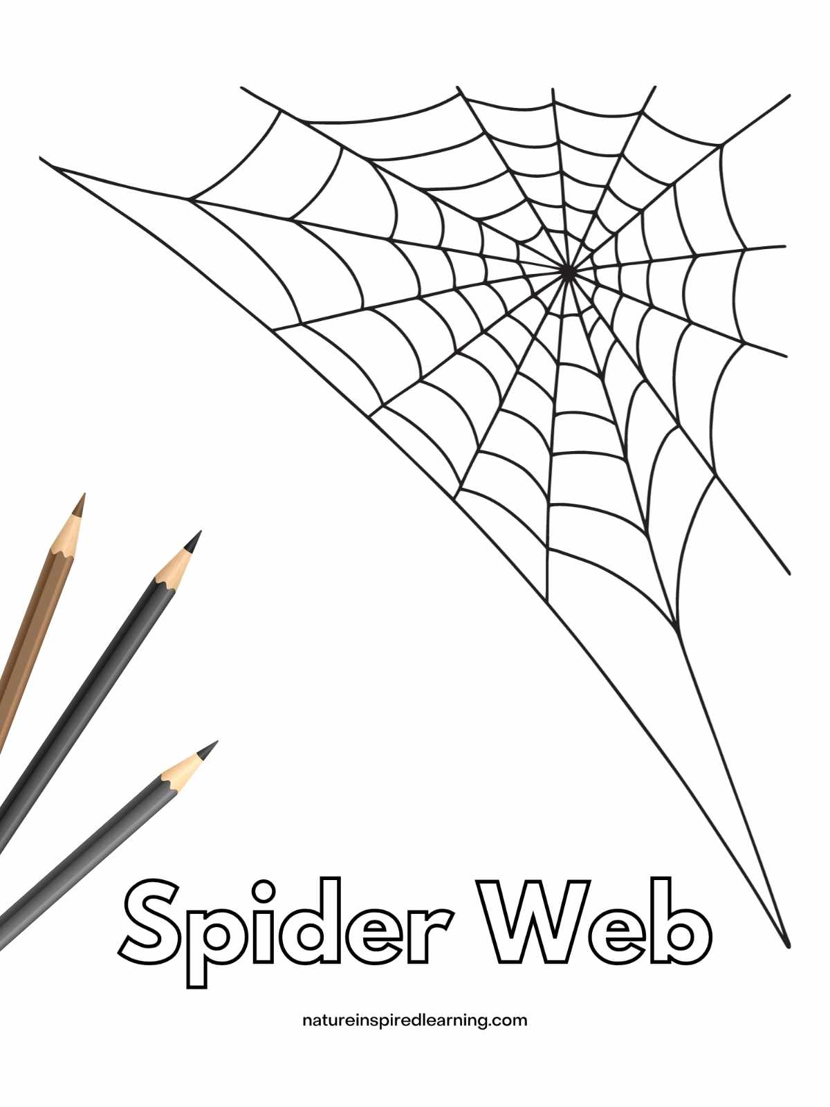 simple black and white spider web in the upper right corner with Spider Web written in bubble letters across bottom. A brown, black, and grey colored pencils bottom right on top of printable