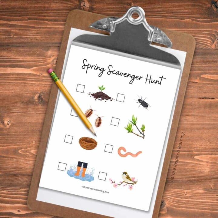 spring scavenger hunt printable with eight colorful spring nature items and check boxes. Printable on a clipboard with a pencil on it wooden background