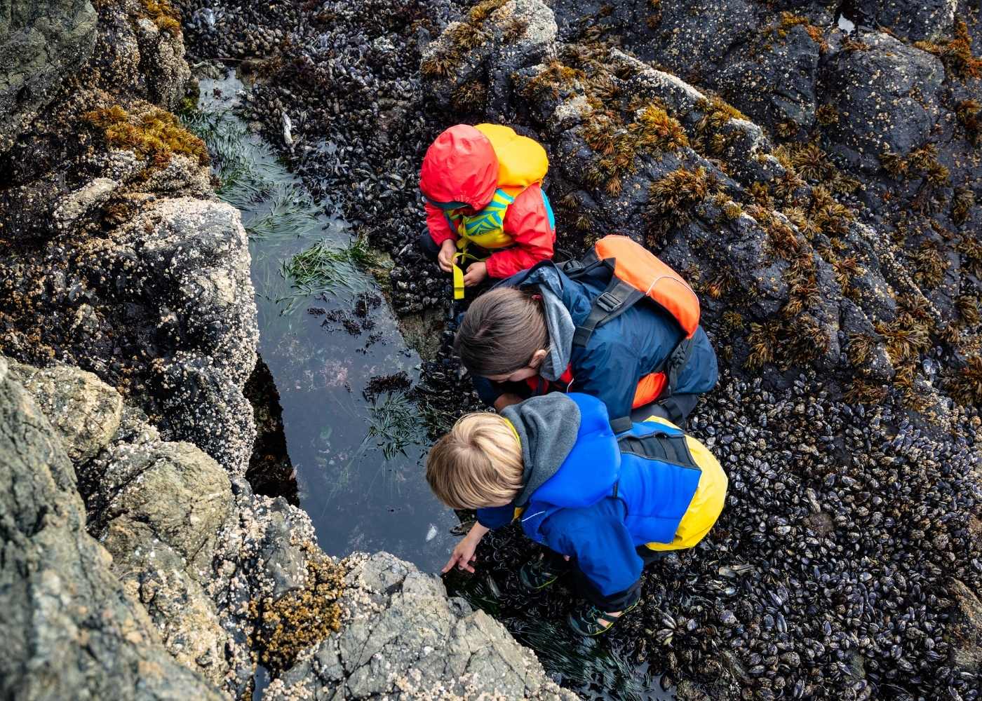 three children dressed in outdoor gear looking at a tide pool between rocks at the beach