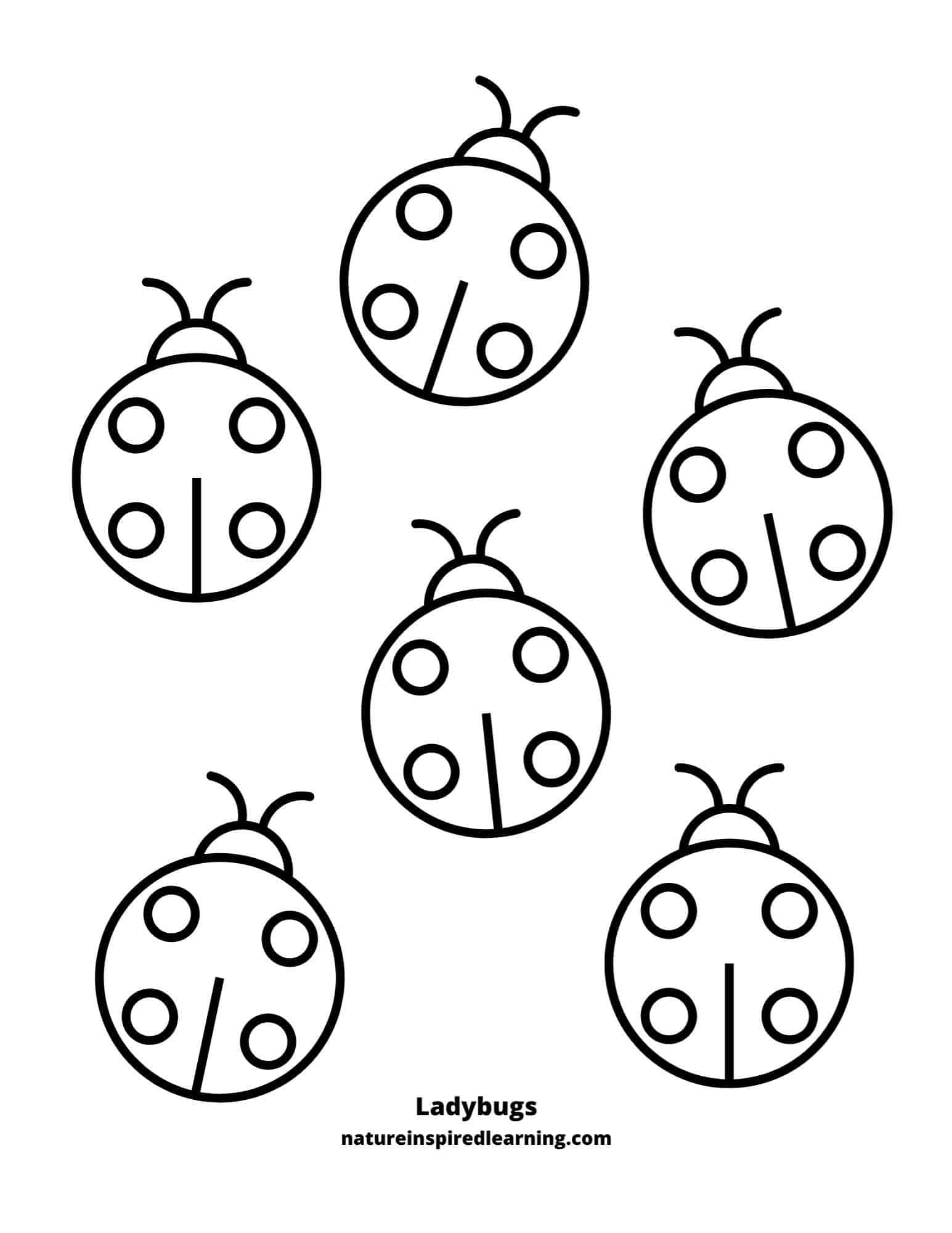 Free Printable Ladybug Coloring Pages Fanny Printable Free Printable Ladybug Coloring Pages Fanny Printable