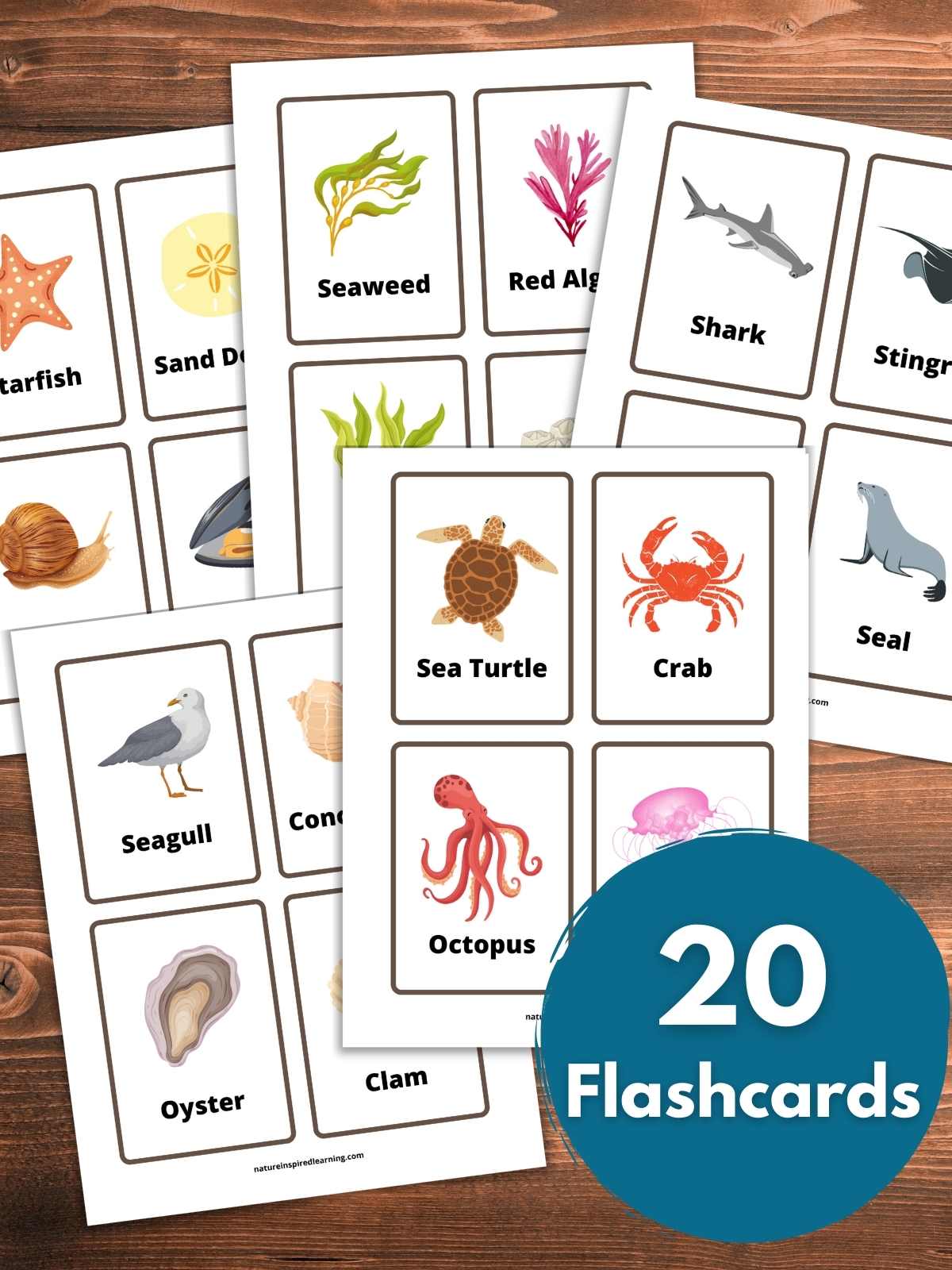 printed off set of flashcards with colorful beach and ocean designs overlapping on a wooden background. Blue circle bottom right with text overlay.
