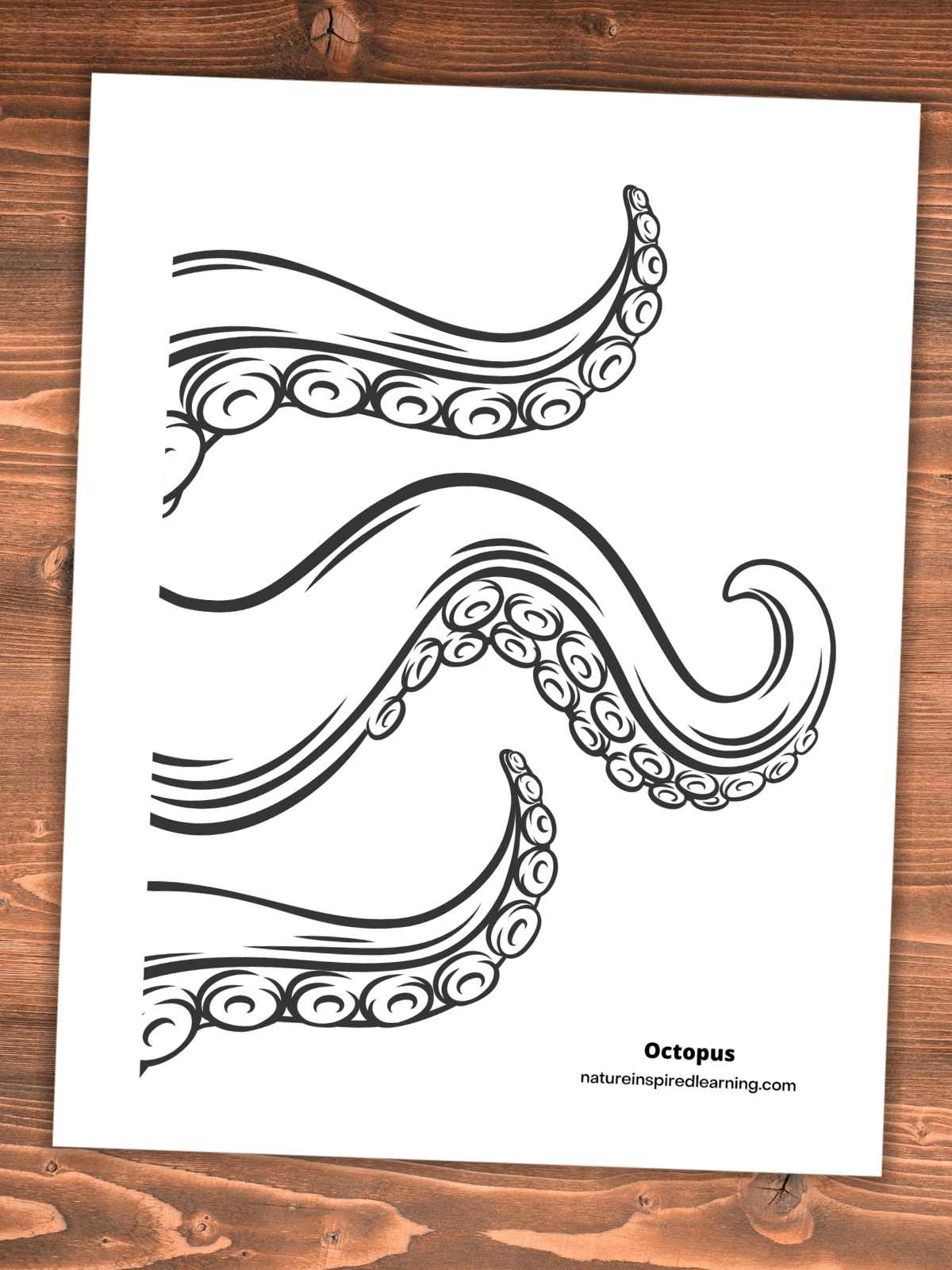 printable with three black and white octopus arms on a wooden background
