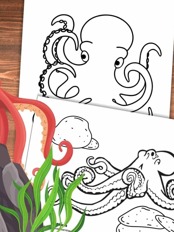 two coloring pages with black and white images of octopus overlapping on a wooden background. Red octopus left side above a grey rock and green kelp