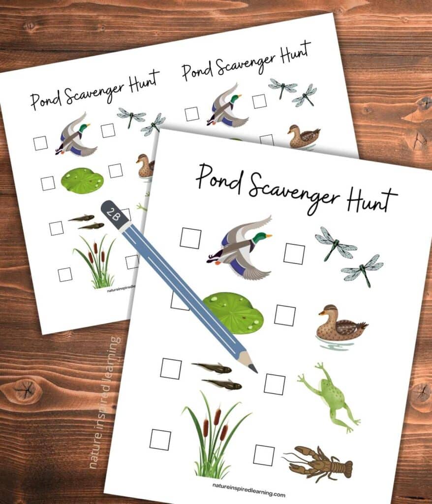 printable pond scavenger hunt full size and half size overlapping on a wooden background with blue pencil on top of printable