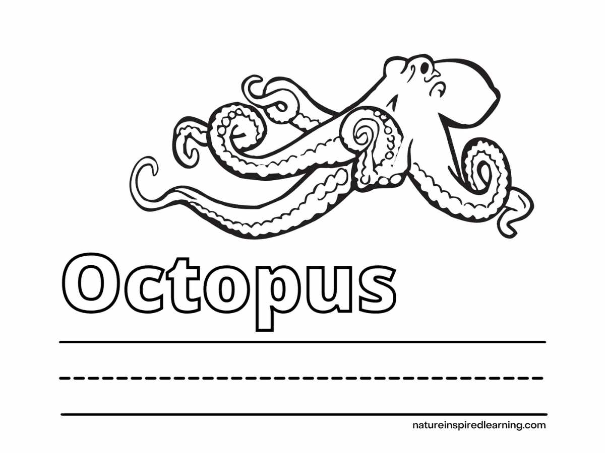 realistic octopus above the word Octopus written in outline form and lines to write below.