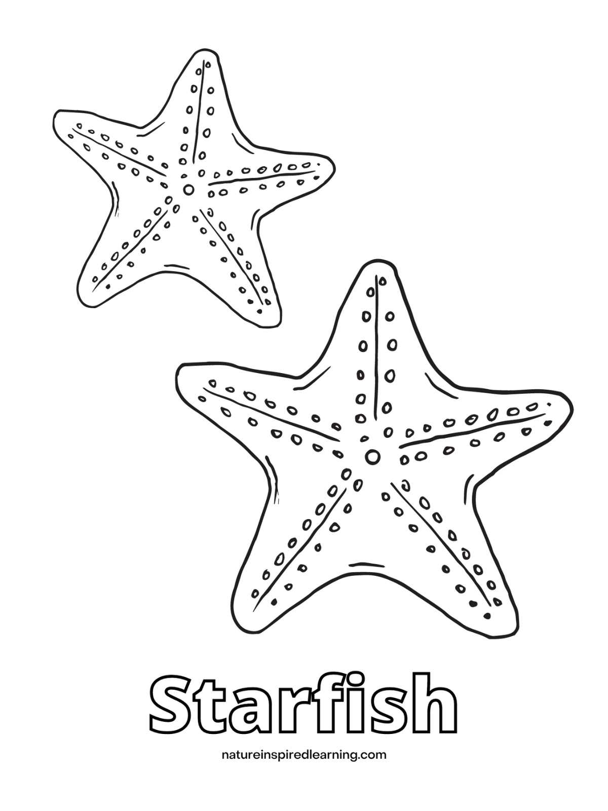one large one small sea star with the word Starfish written below in outline form