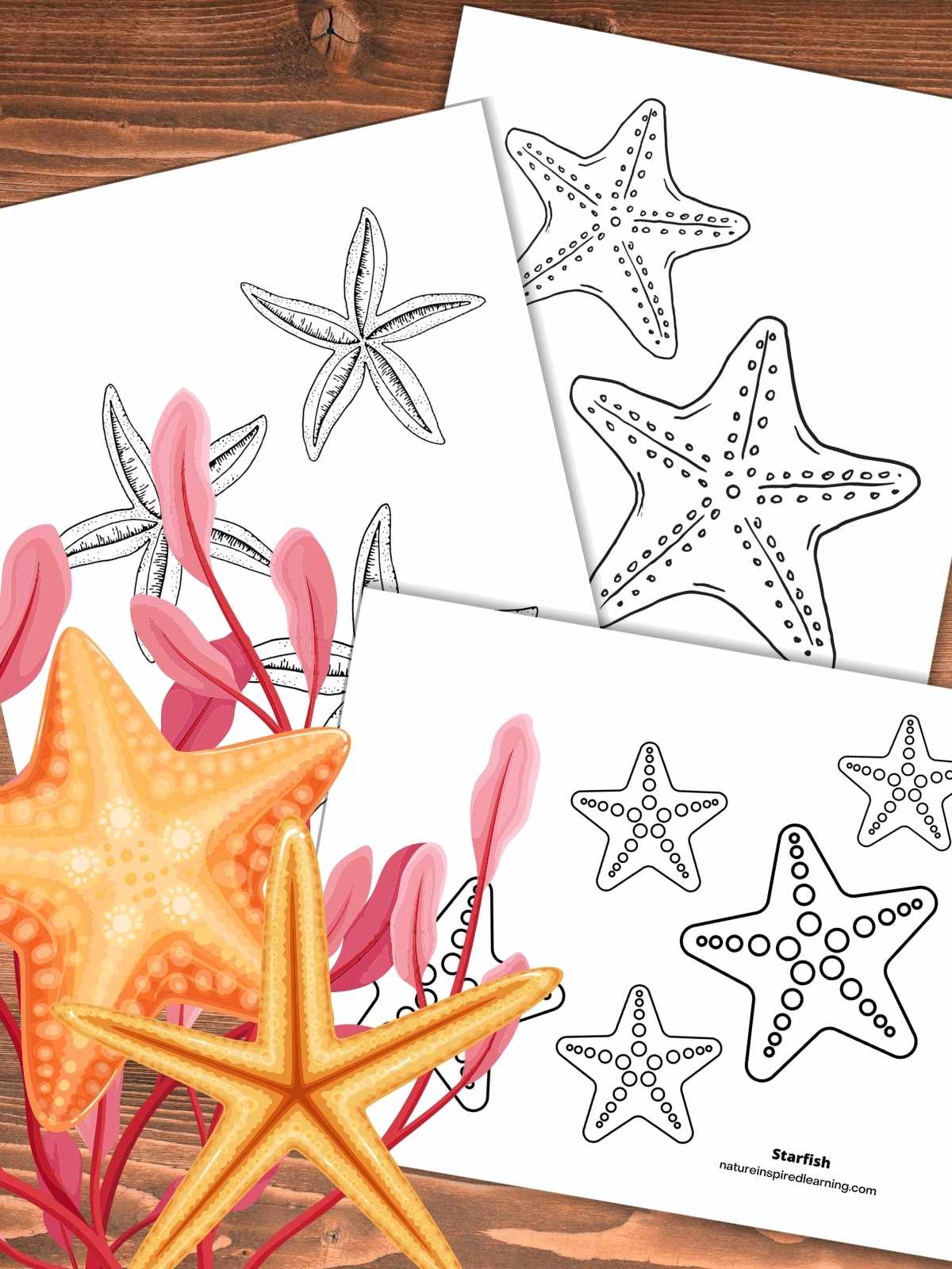 three printable starfish pictures to color overlapping on a wooden background with two yellow sea stars with red seaweed bottom left