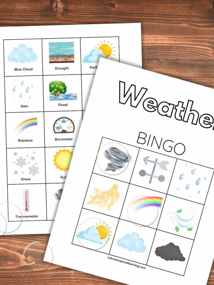 Printable weather bingo card with colorful designs overlapping calling cards on a wooden background with clear bingo chips