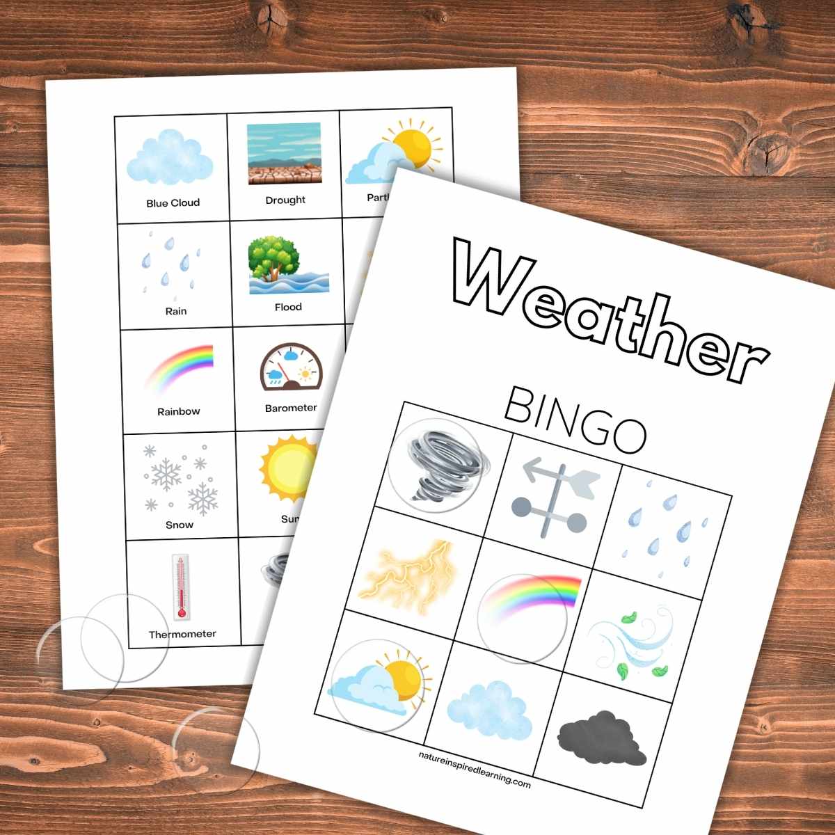 Weather Bingo: PreK and K, PBS KIDS