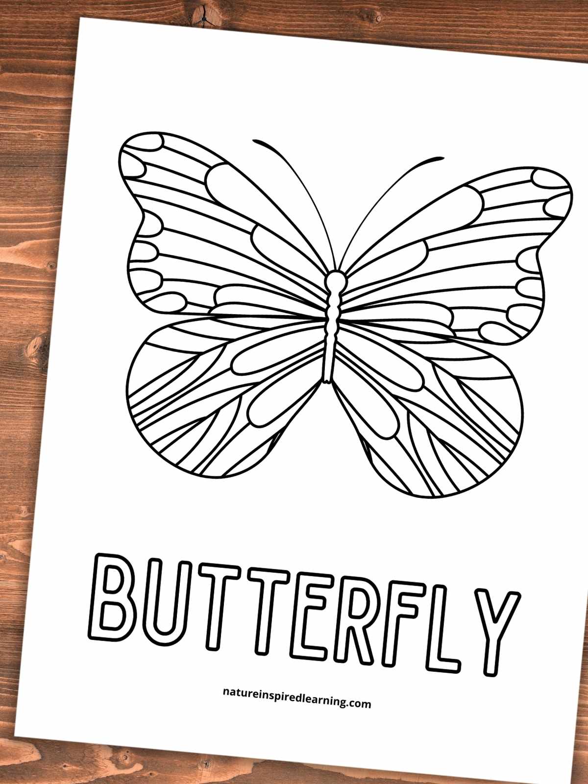 printable with a basic butterfly shape with designs and the word butterfly written below in all caps and bubble letters. Sheet on a wooden background