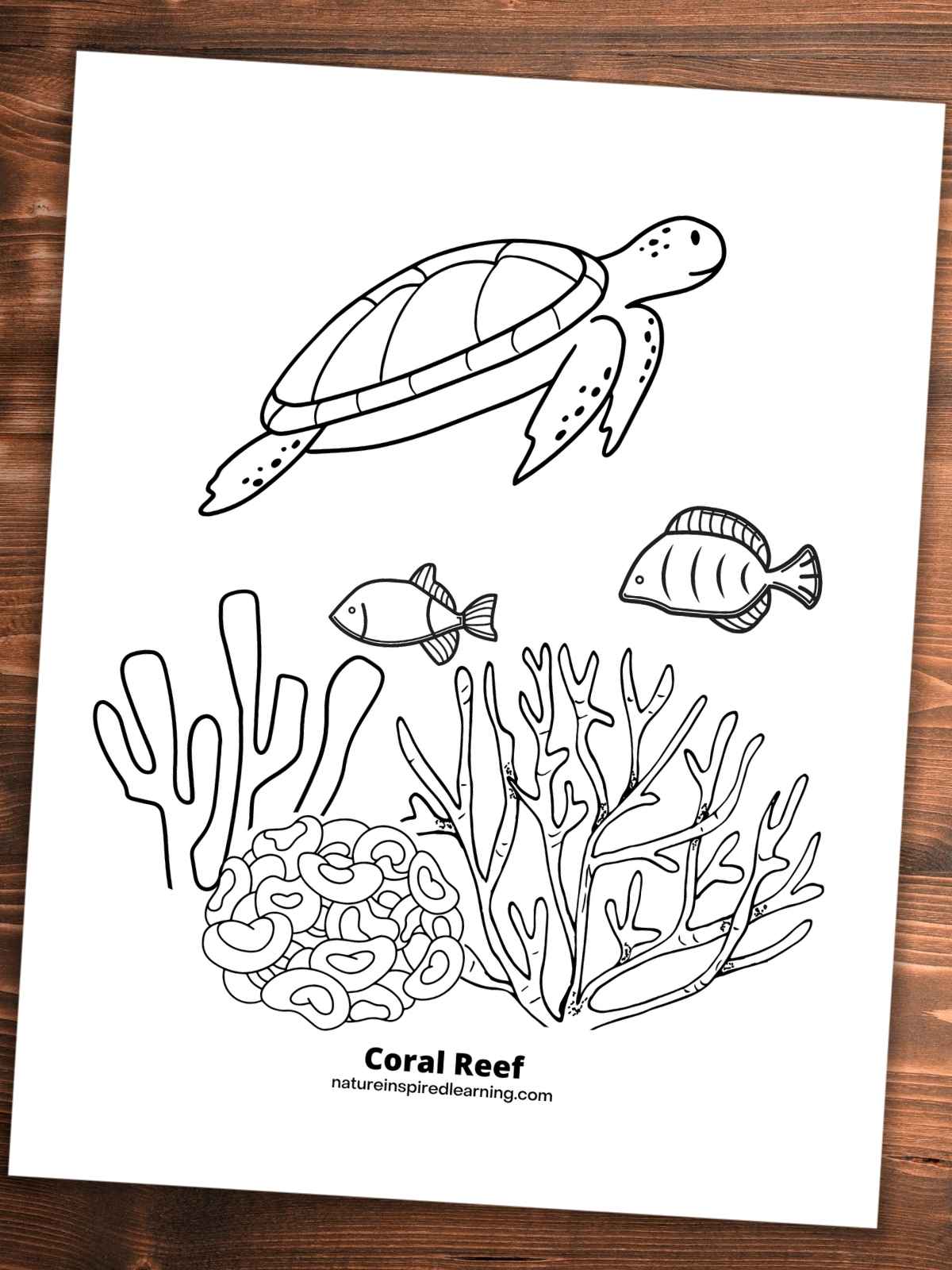 black and white design with a sea turtle, two fish, and three different varieties of coral on a wooden backgroundl