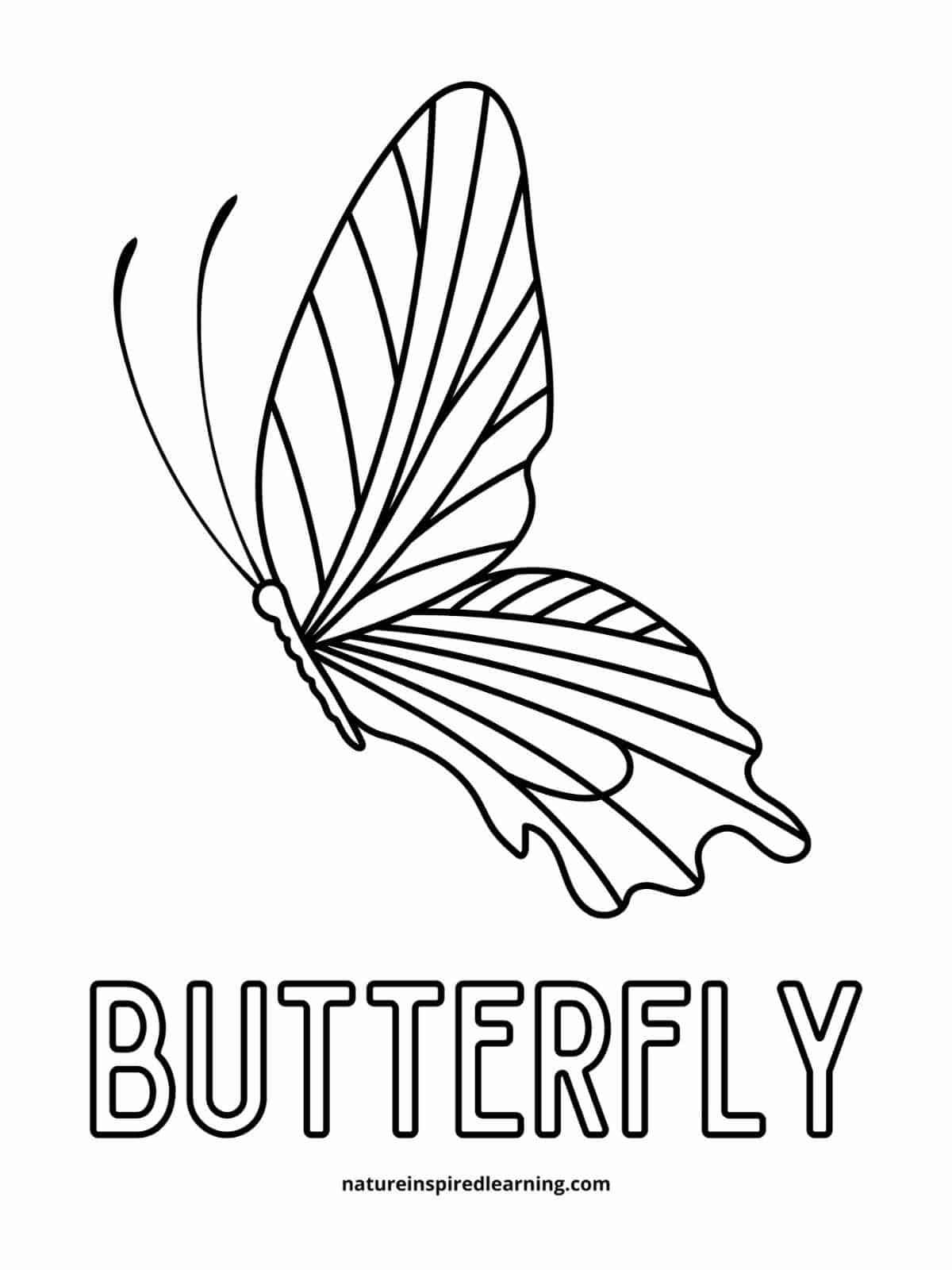 half of a butterfly flying with two large wings above the word butterfly written in all caps outline form