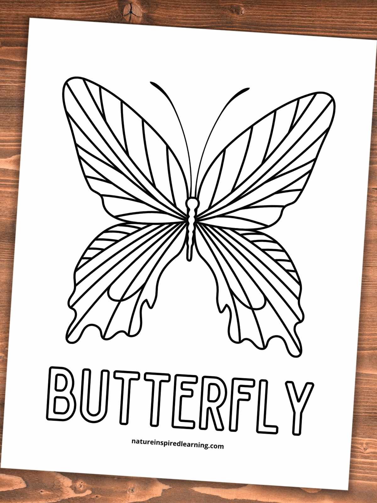 Printable with a large butterfly with big wings and the word butterfly written in all caps below on a wooden background