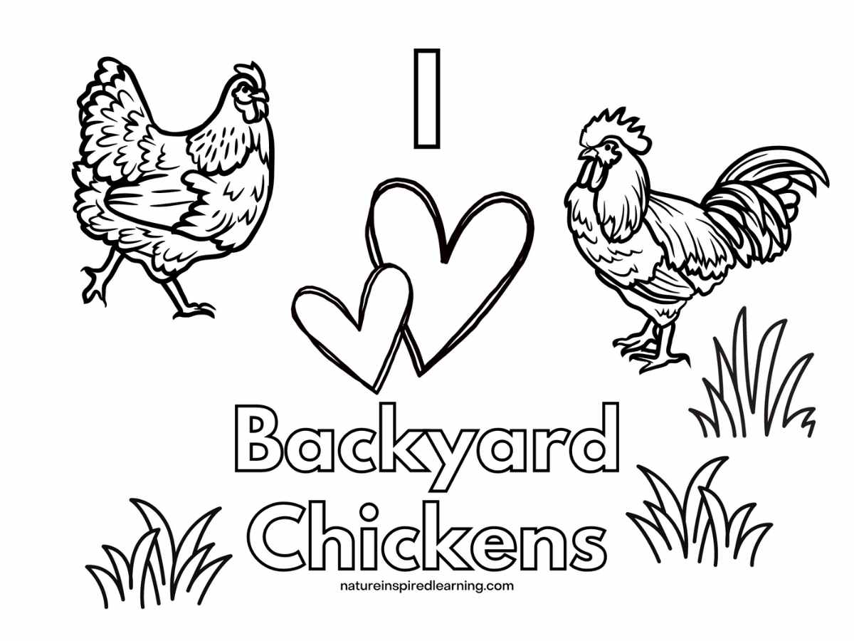 printable with a hen and a rooster and grass with hearts and the words I Backyard Chickens in bubble letters
