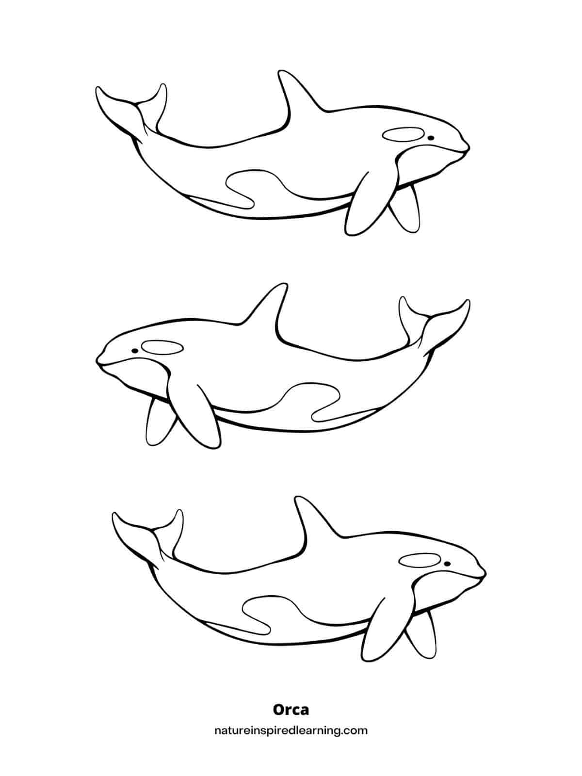 black and white coloring sheet with three orcas arranged in rows facing opposite directions