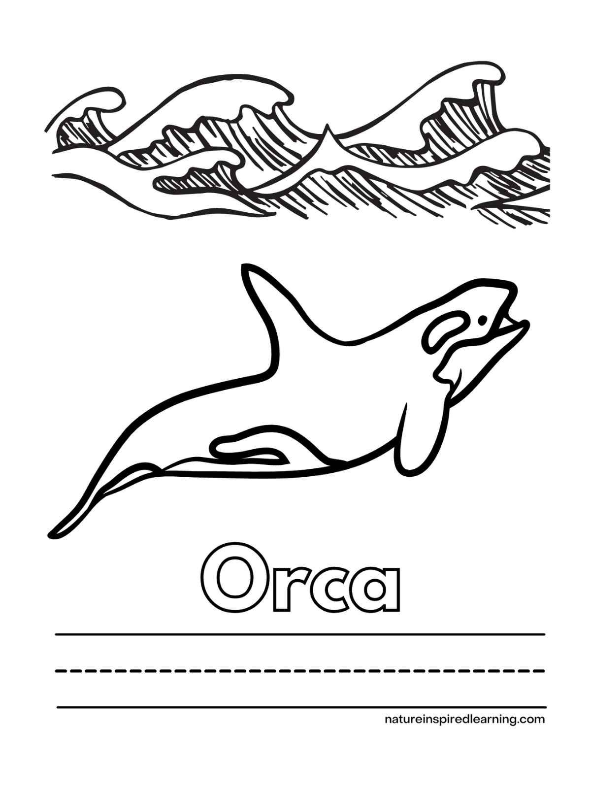 black and white image of a killer whale under waves with the word Orca written under in bubble letters and lines to write