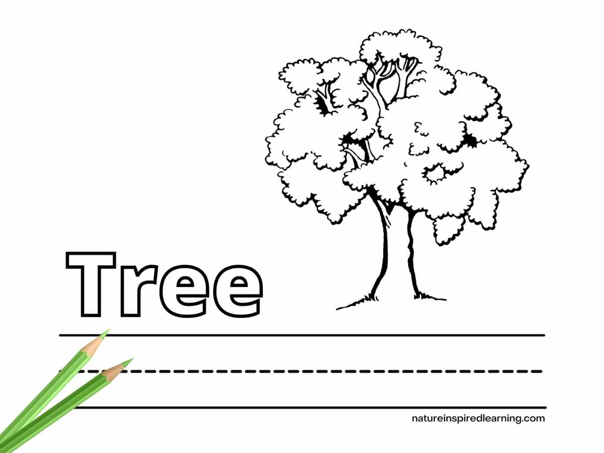 printable with one large tree with leaves the word Tree written in bubble letters and lines across bottom. Two green colored pencils bottom left corner