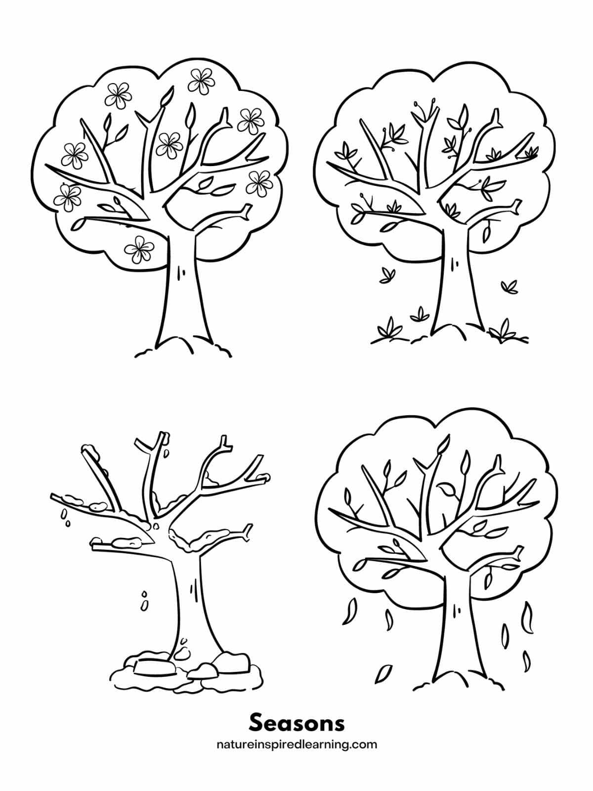 four simple trees one for each season apple tree, summer, fall tree, and bare tree with snow